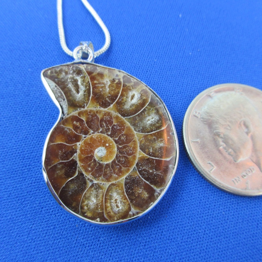 2" fossil pendant on sterling silver chain